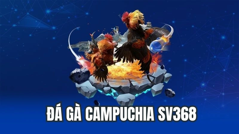 Đá Gà Campuchia SV368 – Hoàn Trả Ngay Cho Mỗi Vé Cược