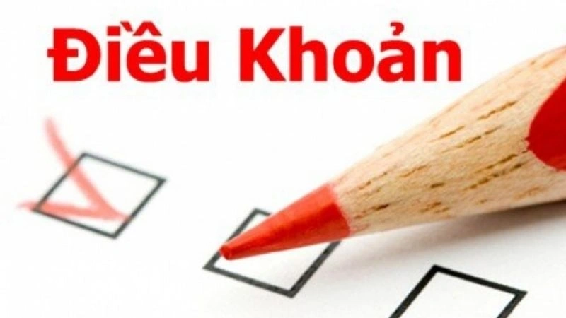 Chi tiết của các điều khoản là gì?