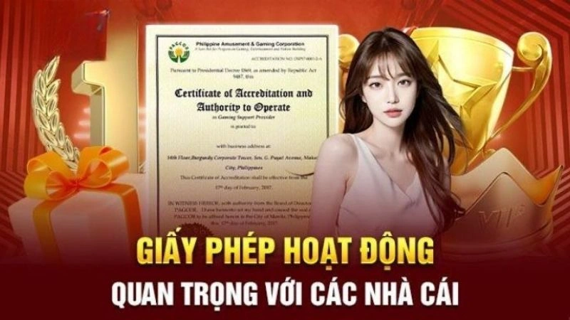 Cách xác minh giấy phép 